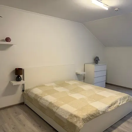 дарія Apartment Skhidnytsia