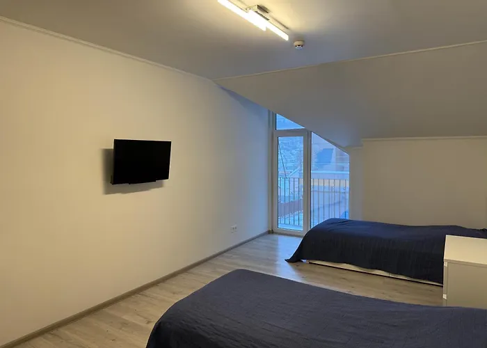 дарія Apartment Skhidnytsia