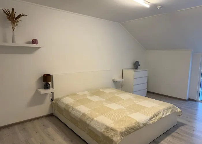 дарія Apartment Skhidnytsia